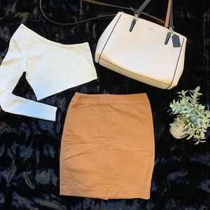 Loft Pencil Skirt